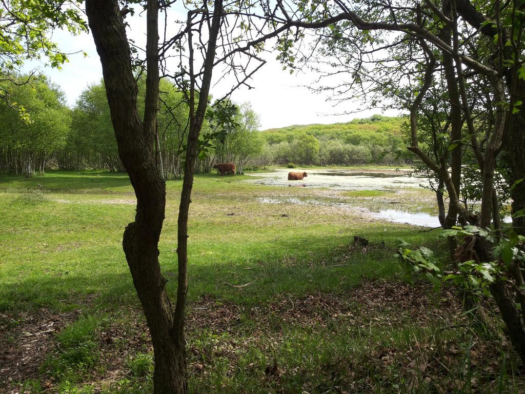 Zomerhuis De Zeedistel Egmond aan den Hoef Cameră foto