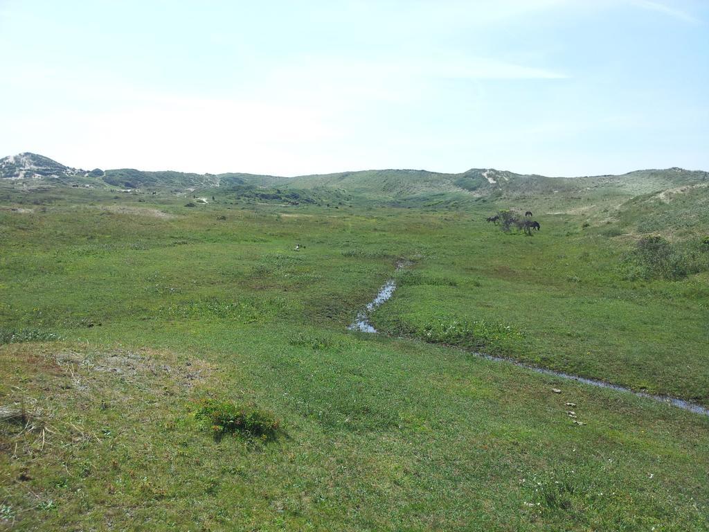 Zomerhuis De Zeedistel Egmond aan den Hoef Cameră foto
